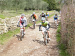 gal/2010/03 - La Via delle Miniere 2010/Al podere Quato/_thb_DSCF0739-01.jpg